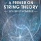 A Primer on String Theory