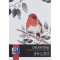 BLOC DESEN OXFORD DRAWING A4, 25 FILE, HARTIE 200 G/MP, FSC&Acirc;&reg; MIX70%, COLECTIA