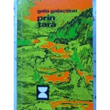 PRIN TARA-GALA GALACTION-230214