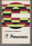 bnk ant Nicolae Ciobanu - Panoramic