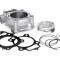 Set motor+chiuloasa Arctic Cat/Polaris Scrambler D.52 Cod Produs: MX_NEW 01270152