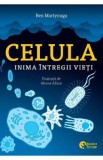 Celula, inima intregii vieti - Ben Martynoga