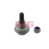 FAG Articulatie sarcina/ghidare