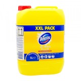 Domestos Profesional 5l, Citrus Fresh