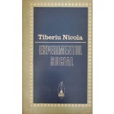 EXPERIMENTUL SOCIAL-TIBERIU NICOLA-224537