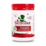 Activator Mr.Bacteria No.16 pentru plante de interior sanatoase, 500 g