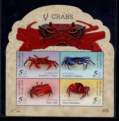 THAILANDA 2021 FAUNA MARINA CRABI foto