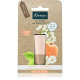 Kneipp Apricot &amp; Marula balsam de buze 4,7 g