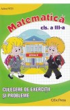 Matematica. Culegere de exercitii si probleme - Clasa 3 - Adina Nitu