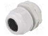 Presetupa poliamida, M32, IP65, RAYCHEM RPG - RNMG32X1.5