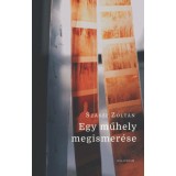 Egy műhely megismer&eacute;se - Sz&aacute;szi Zolt&aacute;n