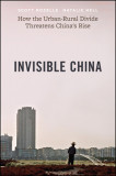The Invisible China: How the Urban-Rural Divide Threatens China&#039;s Rise