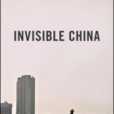 The Invisible China: How the Urban-Rural Divide Threatens China's Rise