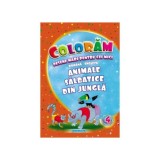 Animale sălbatice din junglă. Desene mari pentru cei mici rom&acirc;nă-engleză - Paperback - Eurobookids