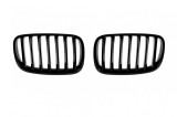 Grile rinichi cu nervuri simple vopsite &icirc;n negru, potrivite pentru BMW X5 E70 2007-2013, X6 E71 2008-2011 Performance AutoTuning