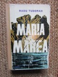 RADU TUDORAN - MARIA SI MAREA CARTONATA