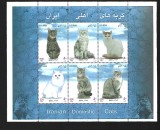 iran pisici mnh