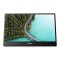 Monitor Philips 15.6&quot; 16B1P3302D/00