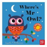 Cumpara ieftin Where's Mr Owl? (Felt Flaps)
