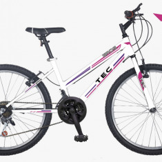 Bicicleta MTB copii TEC Eros, culoare alb/roz/mov, roata 24", cadru din otel PB Cod:222425000111