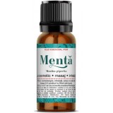 ULEI MENTA ESENTIAL 10ML, SANTO RAPHAEL