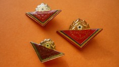 INSIGNE PIONIER LOT 3 BUC.