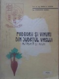 PODGORII SI VINURI DIN JUDETUL VASLUI ALTADATA SI ACUM-AVRAM D. TUDOSE, CONSTANTIN NEAMTU-232591