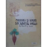 PODGORII SI VINURI DIN JUDETUL VASLUI ALTADATA SI ACUM-AVRAM D. TUDOSE, CONSTANTIN NEAMTU-232591