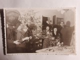 6 fotografii cu bradul de Crăciun