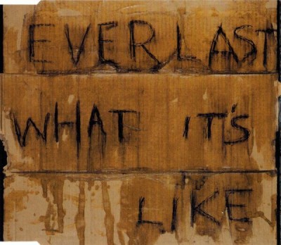 CD Everlast &amp;lrm;&amp;ndash; What It&amp;#039;s Like , original foto