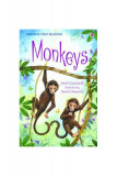 Monkeys - Paperback brosat - Sarah Courtauld - Usborne Publishing