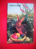 HOPCT 25213 HRISTOS A INVIAT - FELICITARE PASCALA / PASTE - - - NECIRCULATA