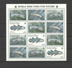 COMORES 1998 WWF FAUNA MARINA PESTI foto