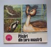 Set 4 albume Caleidoscop Ceres &ndash; zoologie + croșetat &ndash; anii &rsquo;70&ndash;&rsquo;80