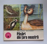 Set 4 albume Caleidoscop Ceres &ndash; zoologie + croșetat &ndash; anii &rsquo;70&ndash;&rsquo;80