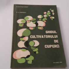 N. MATEESCU - GHIDUL CULTIVATORULUI DE CIUPERCI RF19/2