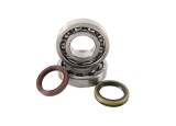 Set rulmenti ambielaj Suzuki RMZ 250 10- 25 HotRods K074
