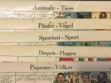 5 planse pentru joc interbelic in limba romana si germana !
