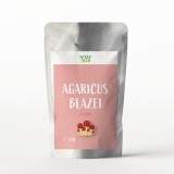 Pudra Agaricus Blazei 60g Green Bliss - Produs Natural, Bogat in Beta Glucani, Origine China