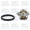MEAT &amp; DORIA 92626 termostat,lichid racire