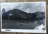 CPISTR11 Ilustrata Veche Kolibica Colibita Bistrita - Carte postala perioada stalinista, peisaj munte, stare foarte uzata, vezi poze.