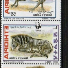 ETHIOPIA 2001 WWF FAUNA PROTEJATA ZEBRE