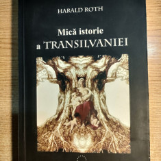 Harald Roth - Mica istorie a Transilvaniei (Editura Pro Europa, 2006) -vezi foto