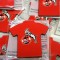 Magnet frigider-fotbal - 1. FC KOLN (Germania)