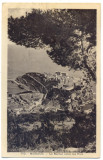 AD 925 C. P. VECHE - MONACO - LE ROCHER ENTRE LES PINS -CIRCULATA 1936
