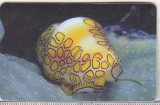 bnk card Cartela telefonica 2005 - Fauna marina 1 - RO-ROM-0288