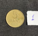 Moneda 5 bani 1955 RPR