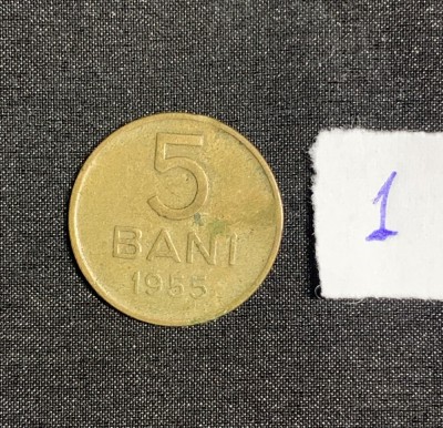 Moneda 5 bani 1955 RPR foto