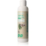 Greenatural Shampoo Sage &amp; Nettle șampon pentru păr gras 250 ml