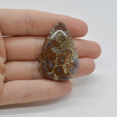 Cabochon jasp asteroid 41x28x7mm c2